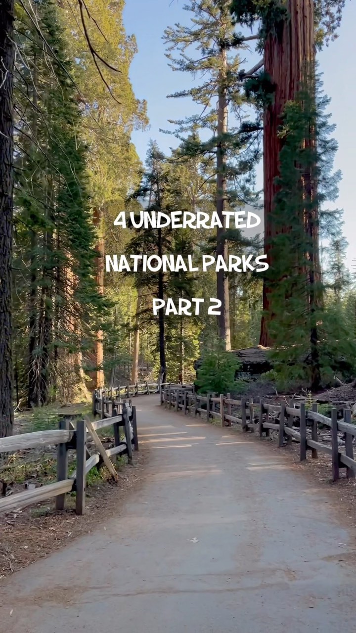 Throughout the 63 national parks, the most popular ones get millions of visitors every year, but there are also incredible parks like these that have an annual visitation of 700,000 or less.

Be sure to add these to your bucket list:
Kings Canyon, Redwood, Petrified Forest, Crater Lake