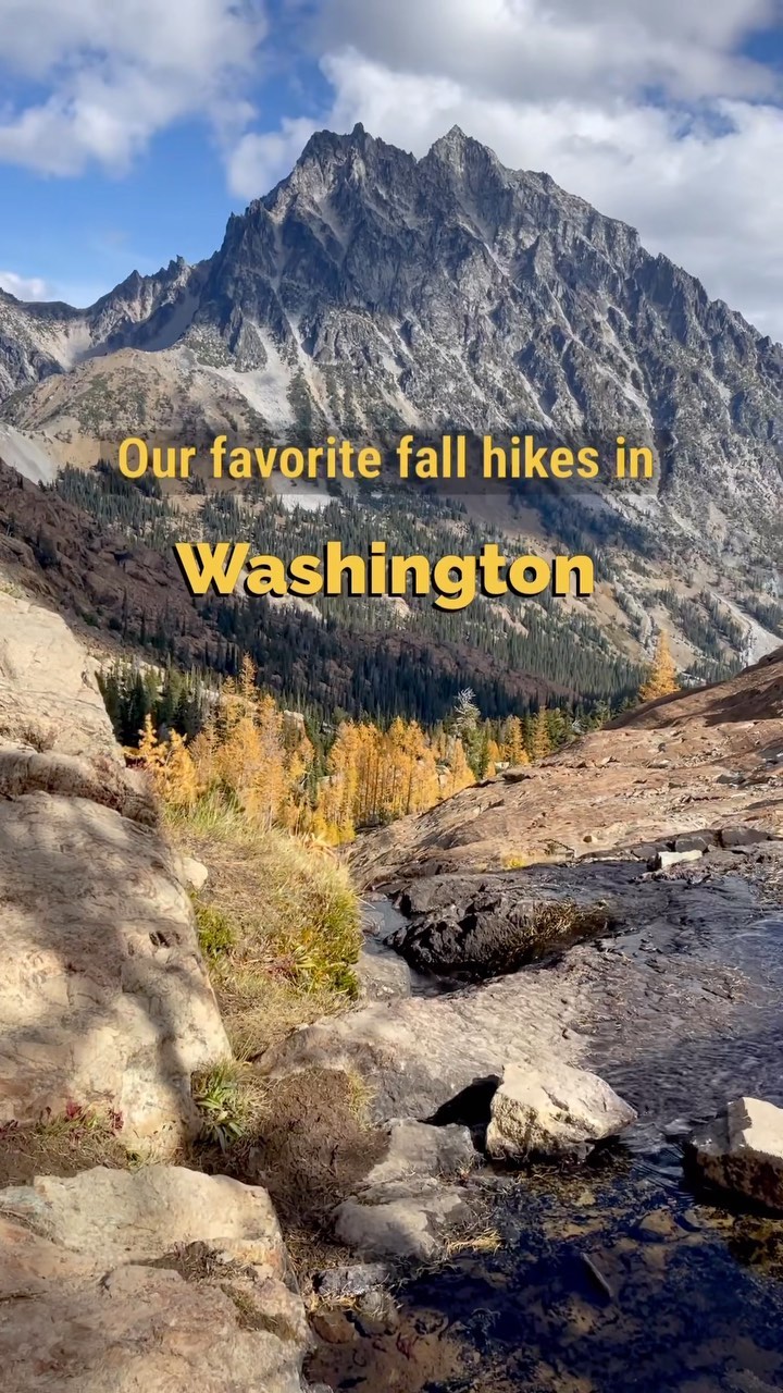 Our favorite hiking season in Washington state is finally here: Larch Madness- the brief period of time when the needles of the larch tree turn gold and put on a dazzling show. 

Larches grow high up along the eastern slope of the Cascades, and with a simple Google search you can find a larch hike ranging from 2 miles to 10 or more. 
 
And just like March Madness, the excitement and fervor of Larch Madness is over in the blink of an eye and we’ll start counting down the days until next time.

#LakeIngalls
#larchmarch
#larchmadness