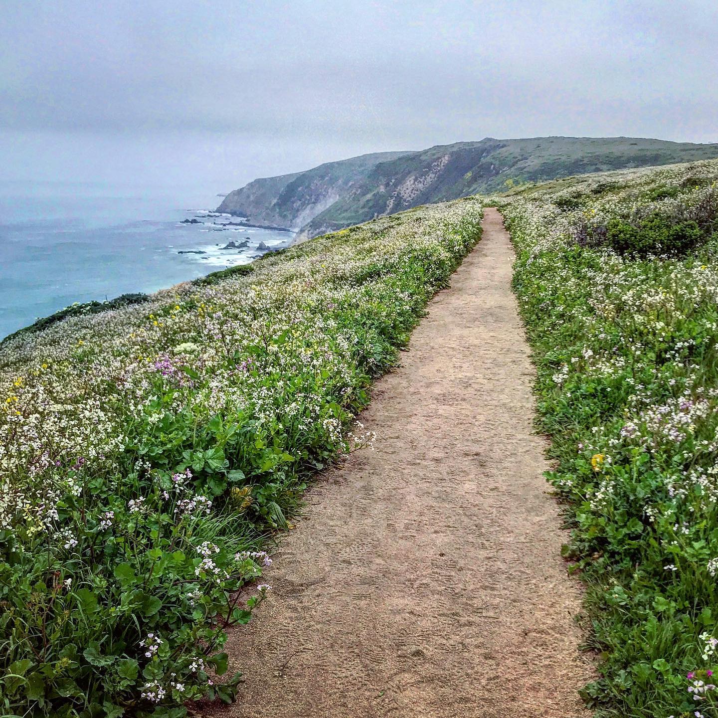 We’re back today with a new episode of the Dear Bob and Sue Podcast featuring beautiful Point Reyes National Seashore in Northern California. In addition to its coastal beaches, this park has incredible hiking trails, an abundance of wildlife, a historic lighthouse, and recreational opportunities like boating, fishing, biking and horseback riding. If you haven’t had a chance to visit this park yet, it’s definitely one you should put in your wish bucket.

You can listen to the Dear Bob and Sue Podcast for free on Apple Podcasts, Google, Spotify, Stitcher, or your favorite podcast app.