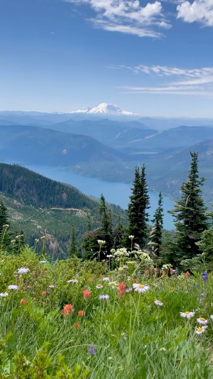We live for summer in the Pacific Northwest.

Okanogan-Wenatchee National Forest