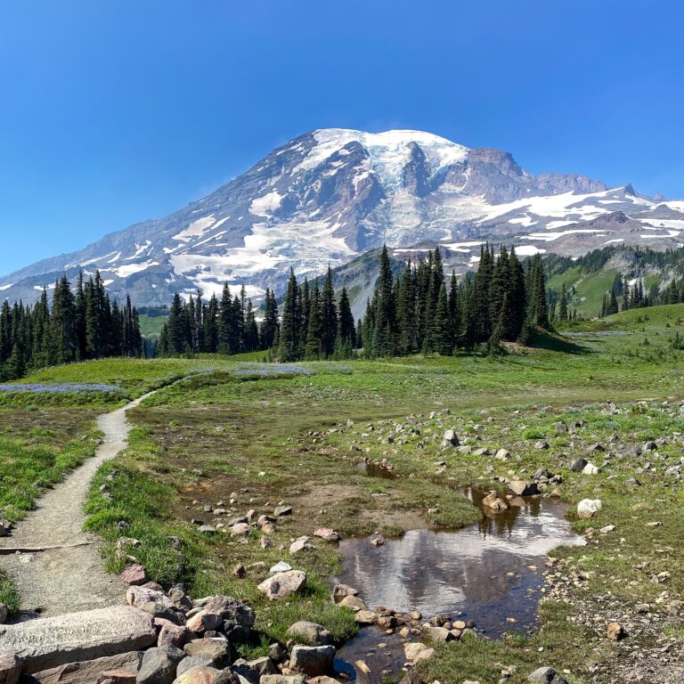 Mount Rainier National Park