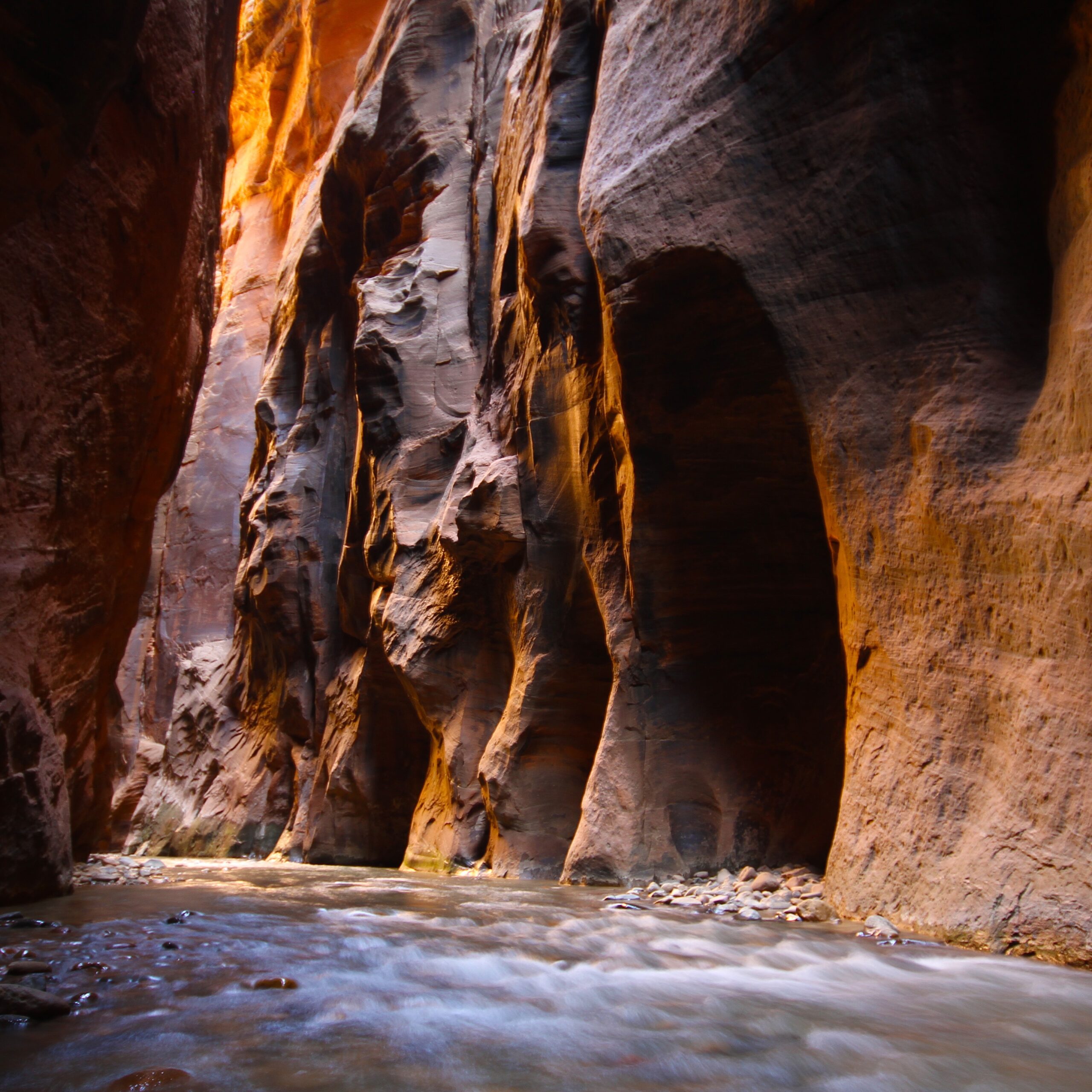 The Narrows in Zion National Park
