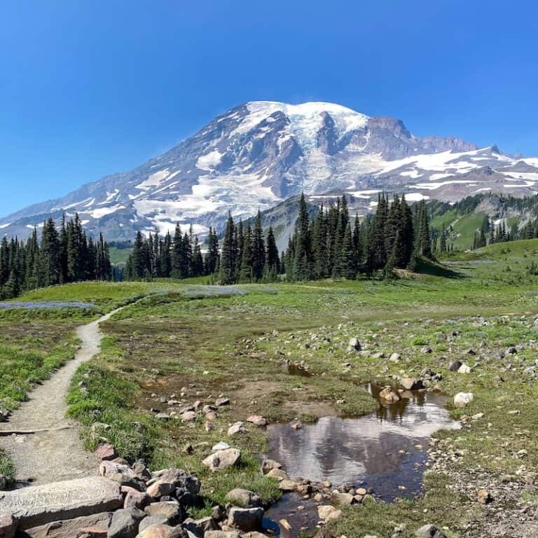 Mount Rainier as seen on a sunny day from the Skyline Loop Trail in the Paradise region of Mount Rainier National Park.