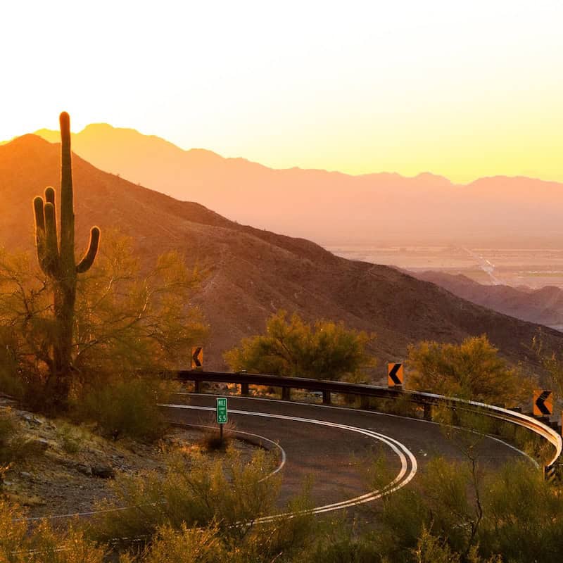 View of a mountain highway and saguaro cactus at sunset in the Southwest, suggesting a scenic stop on an epic winter road trip.