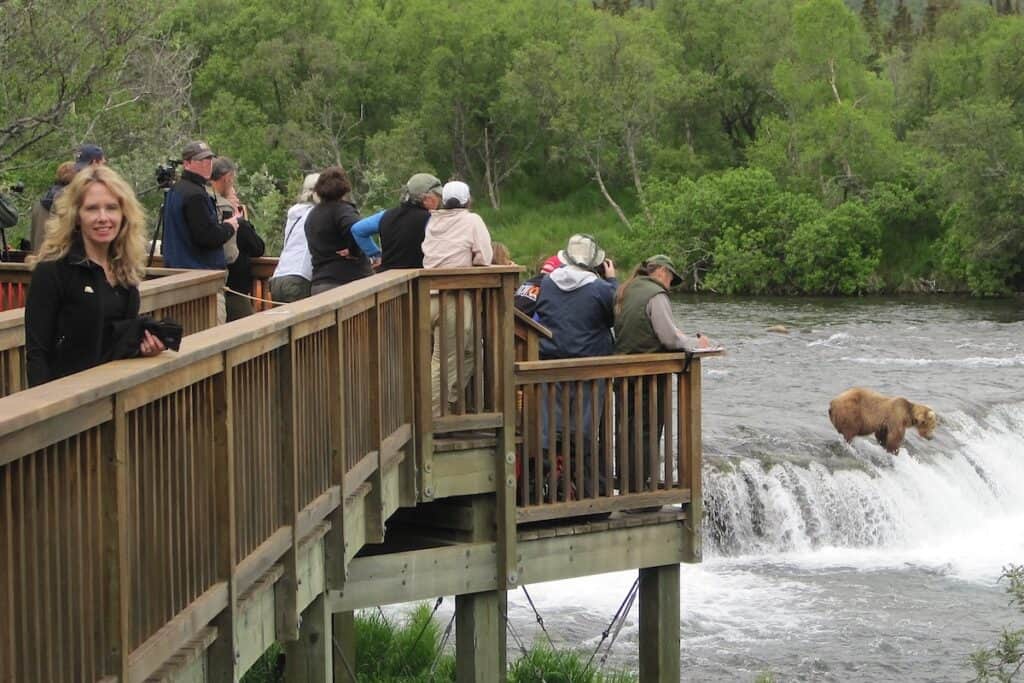 Karen standing on the observation deck overlooking Brooks Falls as brown bears fish for salmon