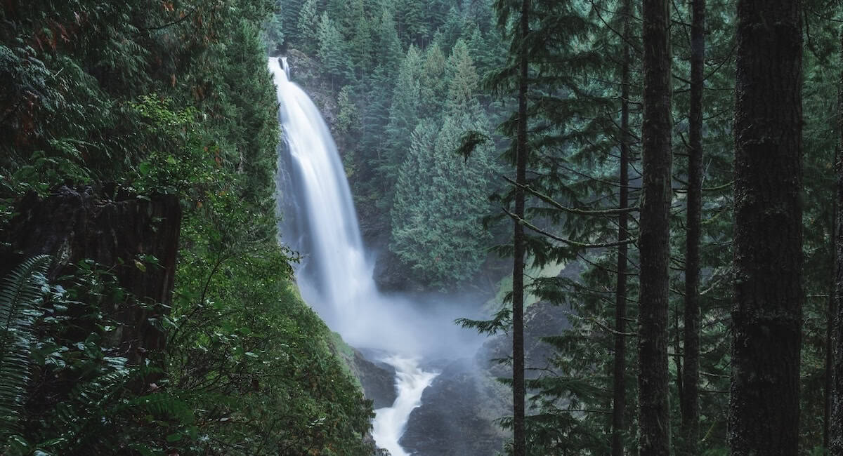 Waterfall in a lush forest in the Pacific Northwest